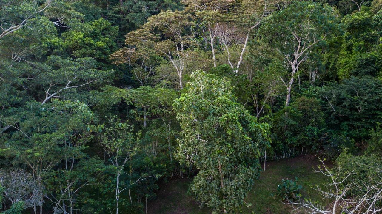 Shimiyacu Amazon Lodge Tarapoto Eksteriør bilde