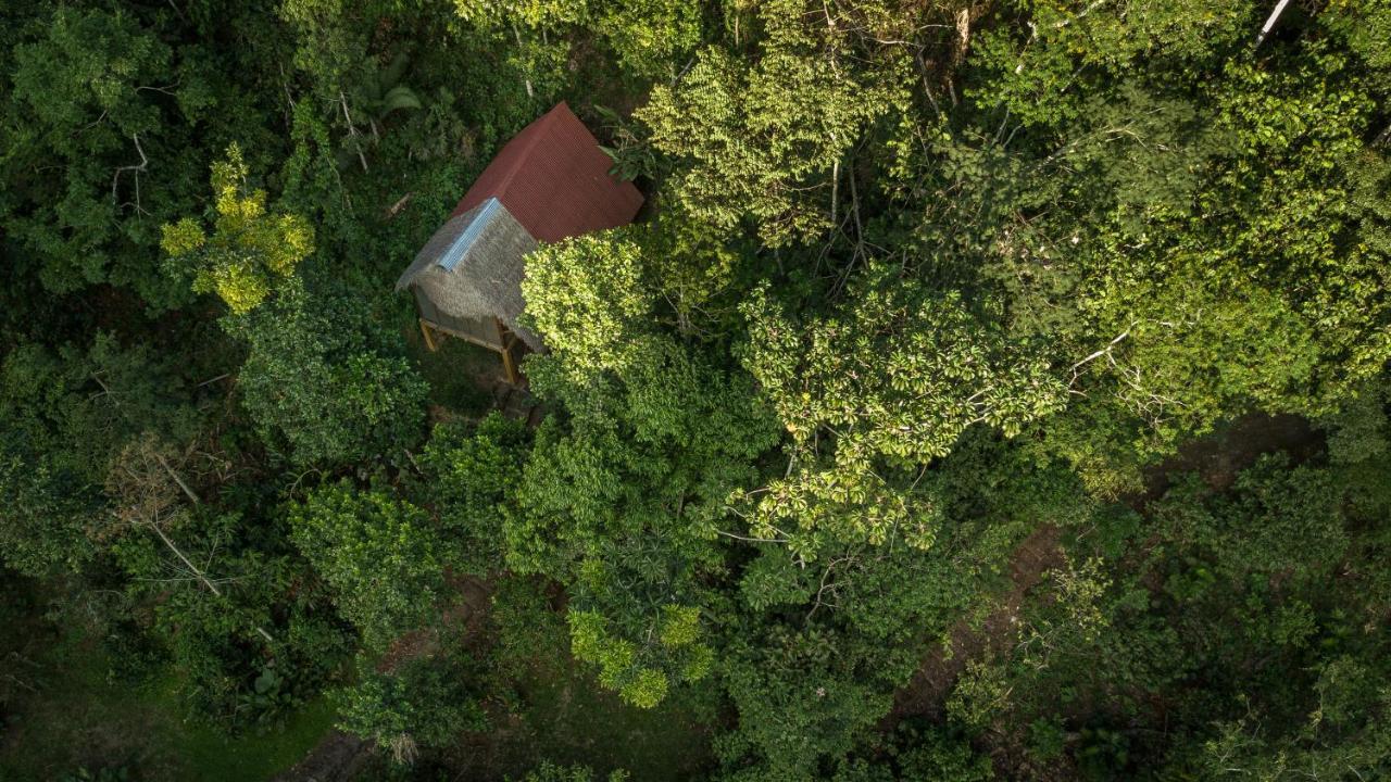 Shimiyacu Amazon Lodge Tarapoto Eksteriør bilde